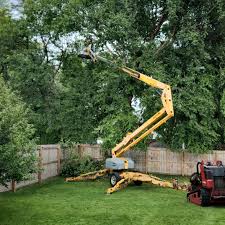 Best Seasonal Cleanup (Spring/Fall)  in Norwood, NJ